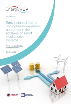 Early Insights into the Non-Optimal Investment Outcomes in the Scale Up of Smart Local Energy Systems
