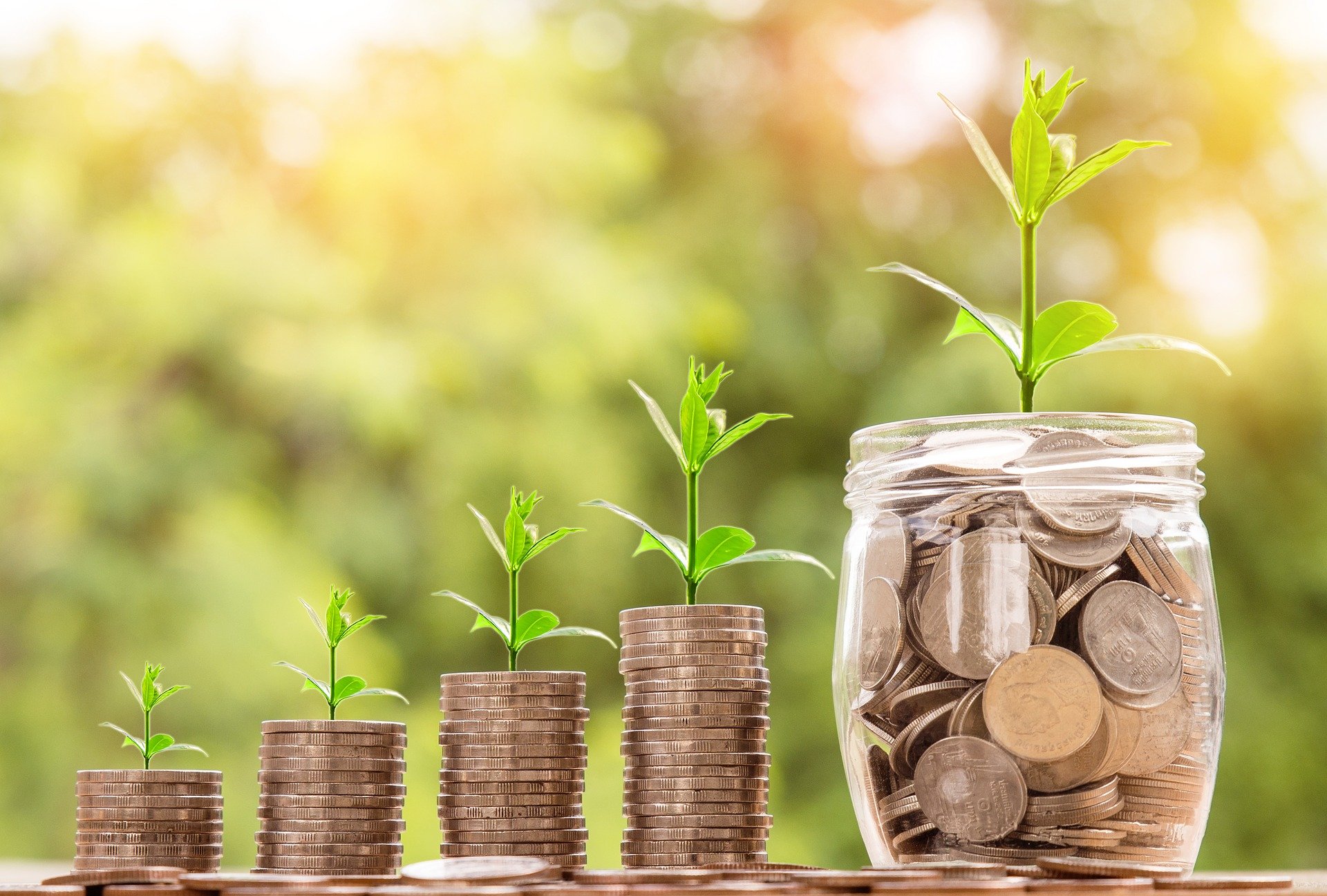 Investigating the investability of local energy businesses 