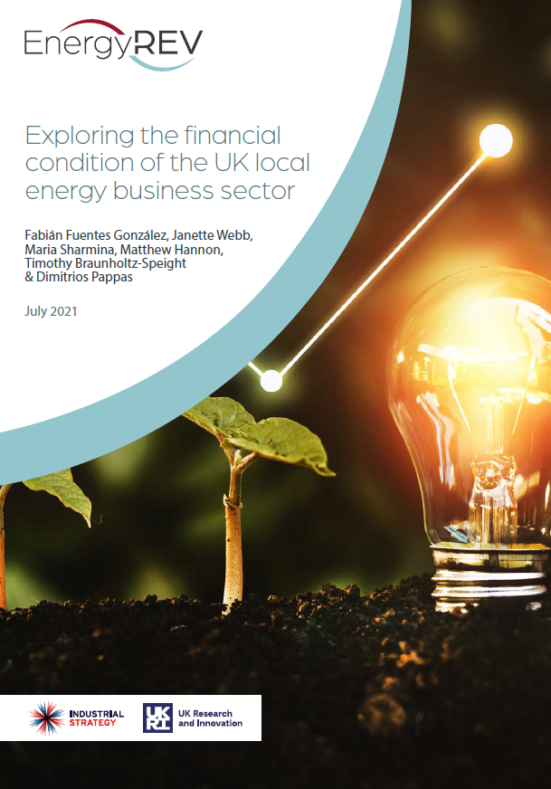 Exploring the financial condition of the UK local energy business sector