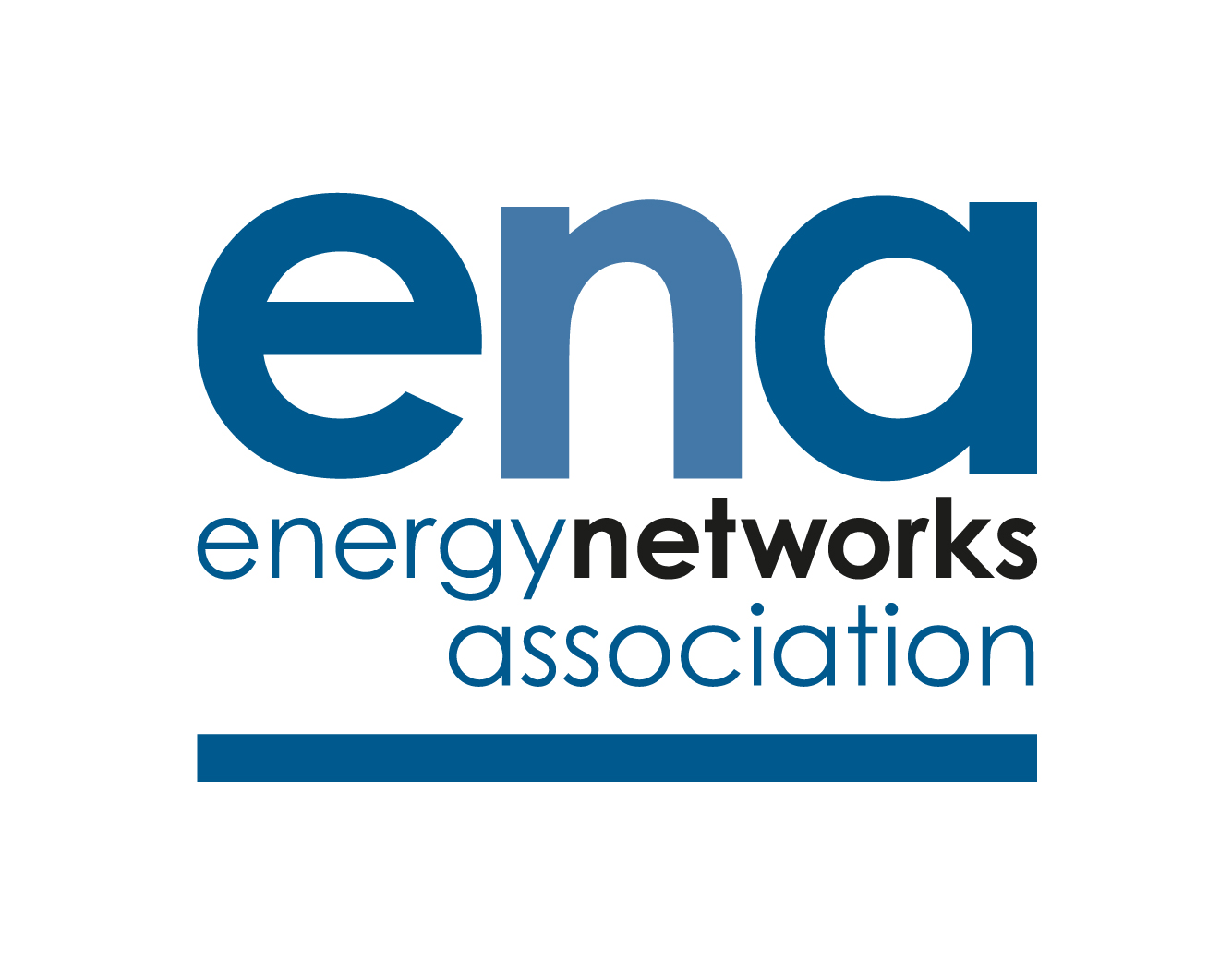 Exchanging knowledge with energy networks to help realise opportunities for smart local energy systems
