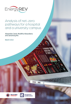 Analysis of net-zero pathways for a hospital and a university campus
